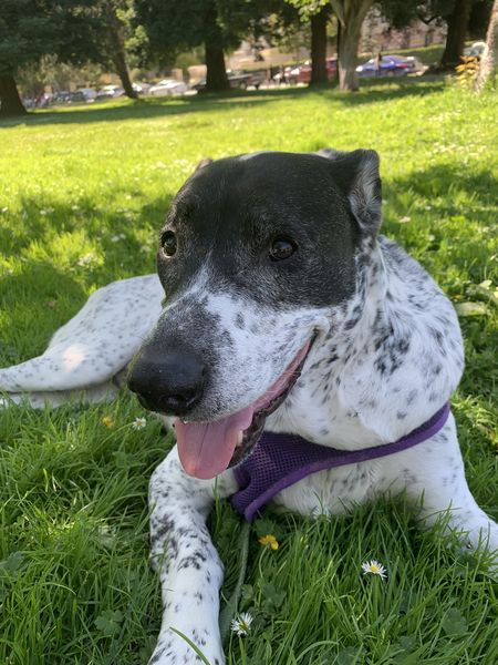 Elska (fka Margarita)