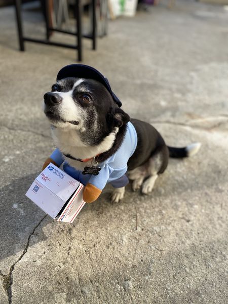 Rogers (fka Flapjack)