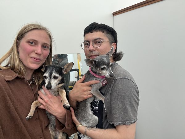 Lupi (fka Sloth) and Bijou (fka Platinum)