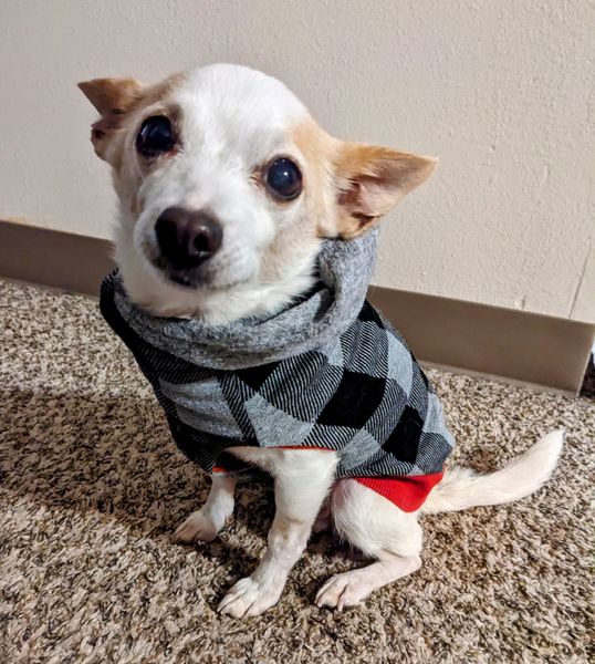 Strawberry (fka Super Bee)