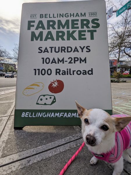 Strawberry (fka Super Bee)