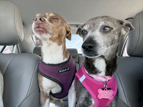 Nora (fka Alexandria)