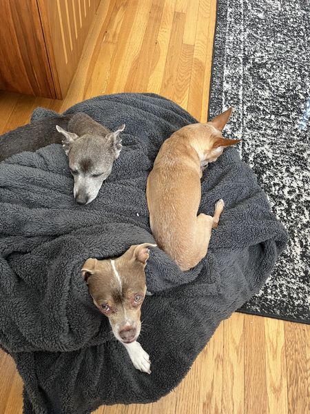 Nora (fka Alexandria)