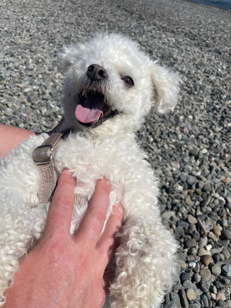 Ella (fka Georgia O'Keefe)