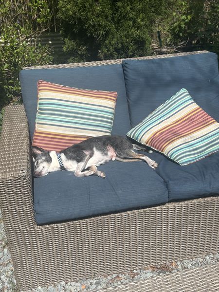 Mudslide and Banana Split