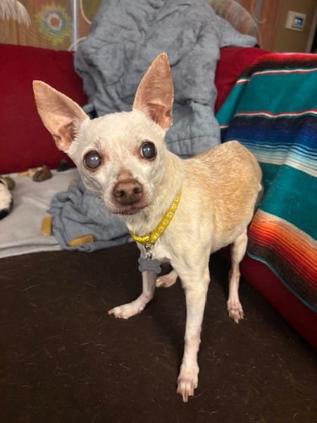 Mudslide and Banana Split