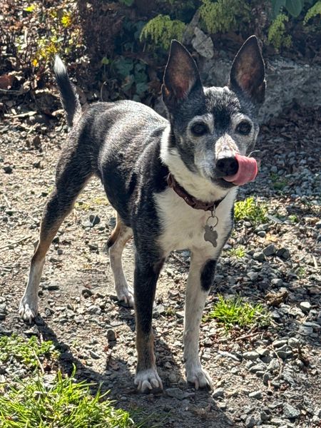 Mudslide and Banana Split