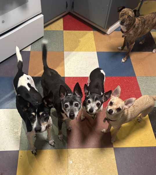 Mudslide and Banana Split