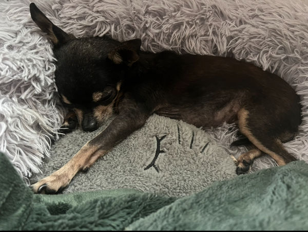 Princess (fka Pixie Stix)