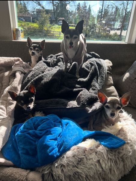 Princess (fka Pixie Stix)