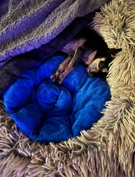 Princess (fka Pixie Stix)