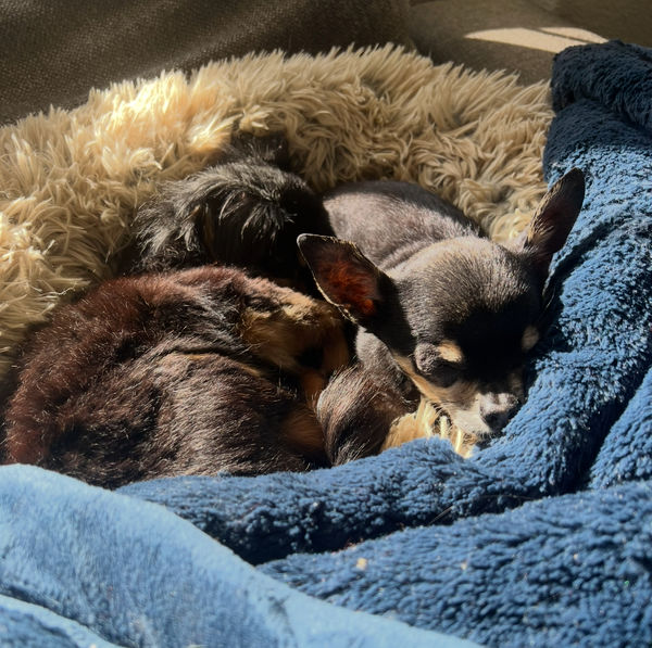 Princess (fka Pixie Stix)