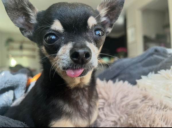 Princess (fka Pixie Stix)