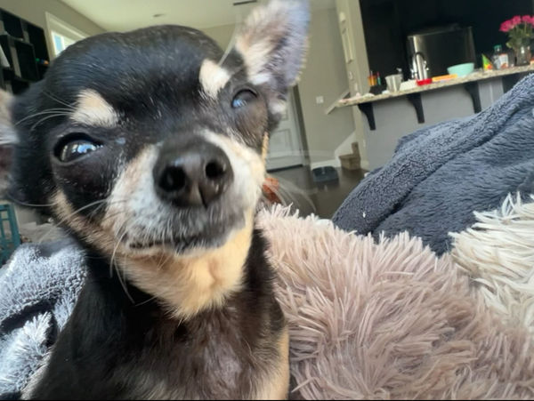 Princess (fka Pixie Stix)