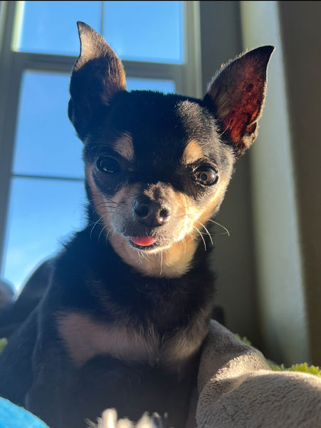 Princess (fka Pixie Stix)