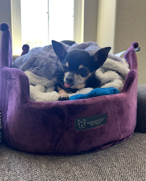 Princess (fka Pixie Stix)