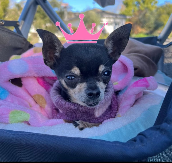 Princess (fka Pixie Stix)