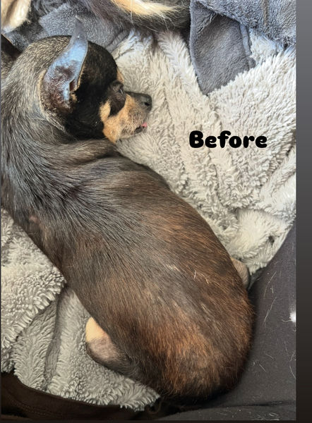 Princess (fka Pixie Stix)