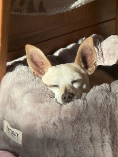 Maverick (fka Stonewall)