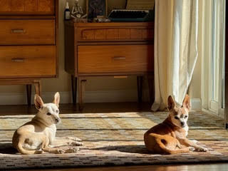 Maverick (fka Stonewall)