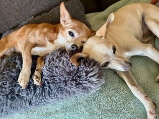 Maverick (fka Stonewall)