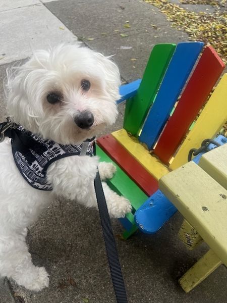 Halloumi (fka Franz)