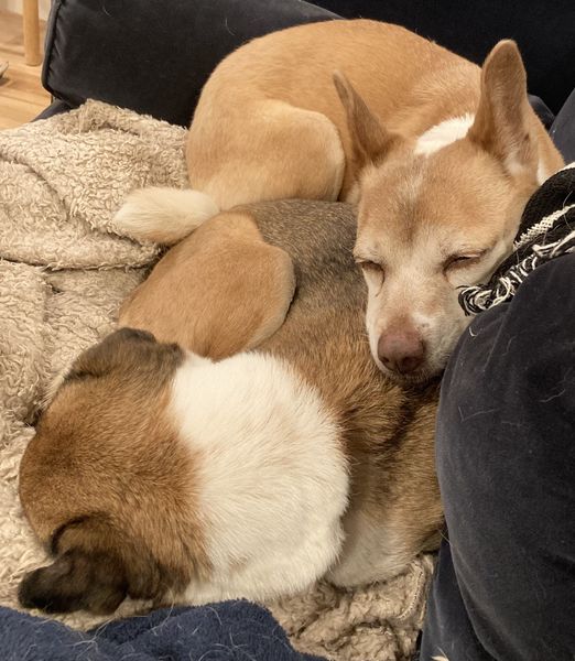 Ginger & Mary Ann (fka Rhonda & Muriel)