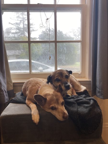 Ginger & Mary Ann (fka Rhonda & Muriel)