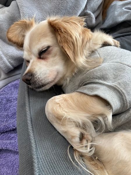 Penny (fka Paparazzi)