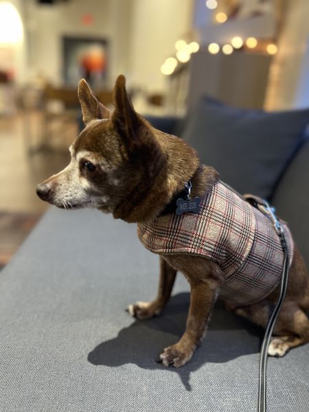 Mister Sir (fka Mister)