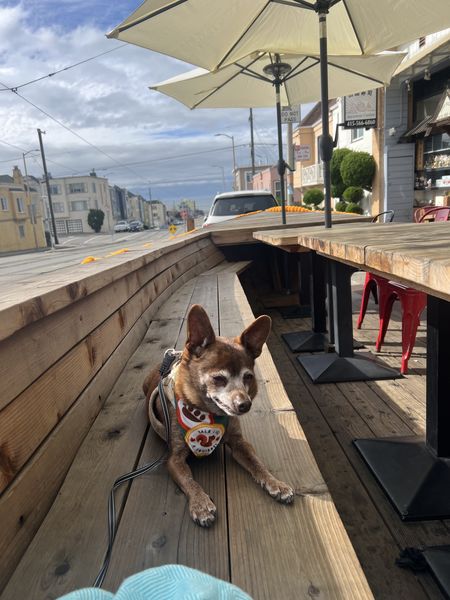 Mister Sir (fka Mister)