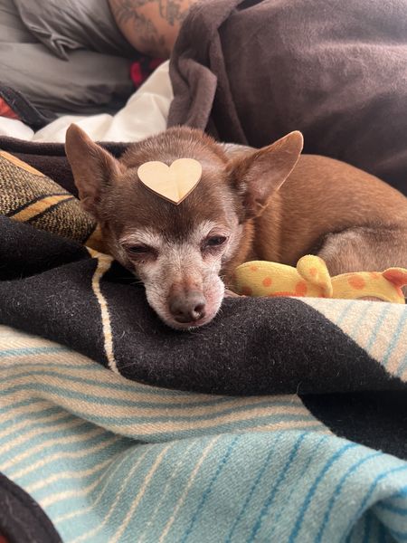 Mister Sir (fka Mister)