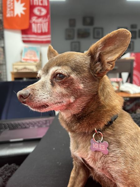 Mister Sir (fka Mister)