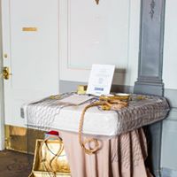 Pooches of the Caribbean