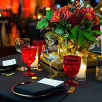 Pooches of the Caribbean