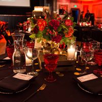 Pooches of the Caribbean