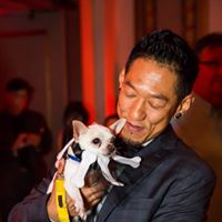 Pooches of the Caribbean