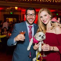 Pooches of the Caribbean