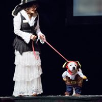 Pooches of the Caribbean