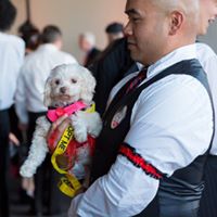 Speakeasy: Bark 3 Times