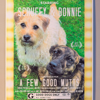 The Golden Age of Hollywoof