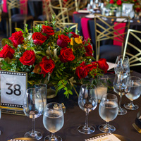 The Golden Age of Hollywoof