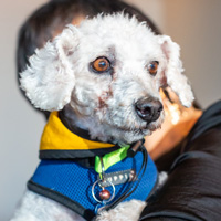 The Golden Age of Hollywoof