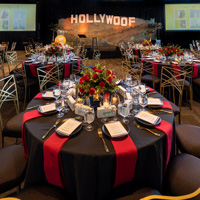 The Golden Age of Hollywoof