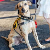 The Golden Age of Hollywoof