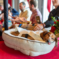 The Golden Age of Hollywoof