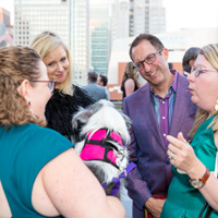 The Golden Age of Hollywoof