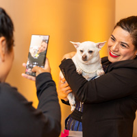 The Golden Age of Hollywoof