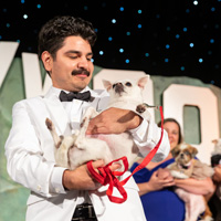 The Golden Age of Hollywoof