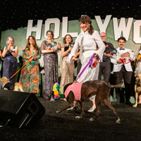 The Golden Age of Hollywoof